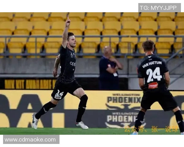 惠灵顿凤凰迎战西悉尼足球队争夺澳超联赛重要积分之战