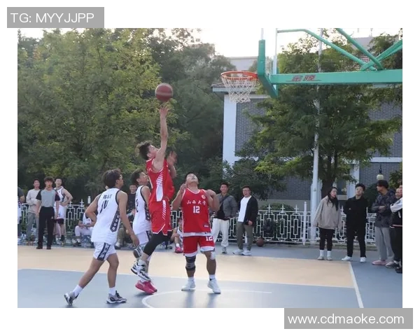 沈梓捷：从青年才俊到篮球赛场的璀璨明星之路探索与成长