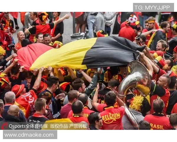 法国与比利时球迷的激情对决与文化碰撞解析 法国与比利时球迷的激情对决与文化碰撞解析