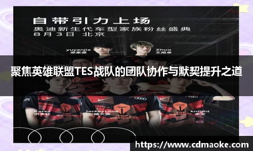 聚焦英雄联盟TES战队的团队协作与默契提升之道