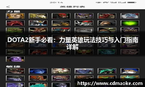 DOTA2新手必看：力量英雄玩法技巧与入门指南详解